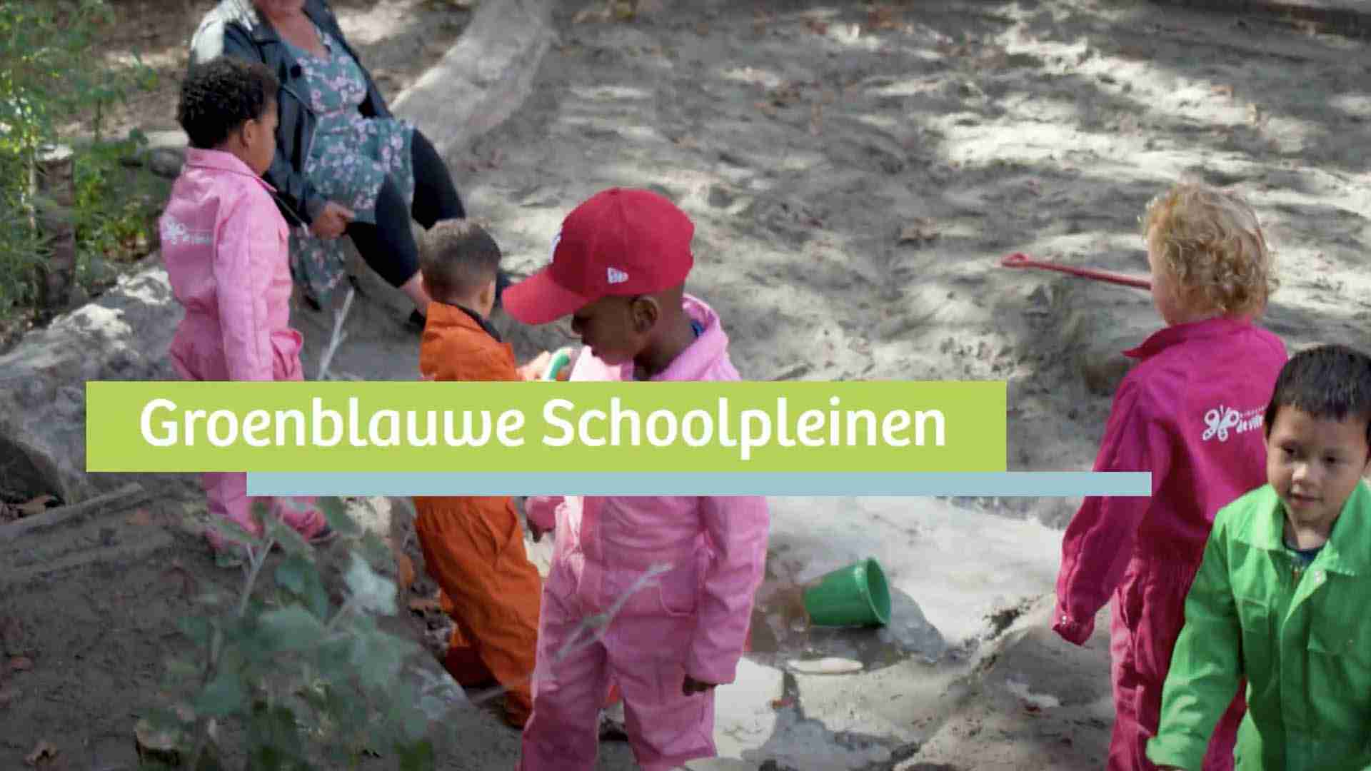 Groenblauwe schoolpleinen